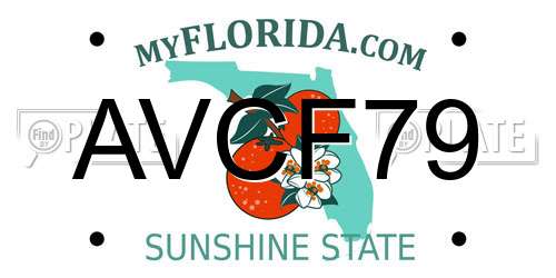 AVCF79 Florida License Plate