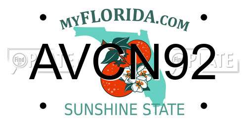 AVCN92 Florida License Plate