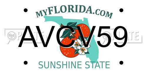 AVCV59 Florida License Plate