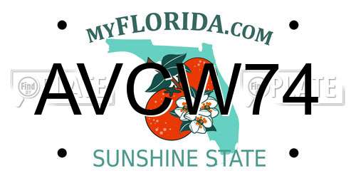 AVCW74 Florida License Plate