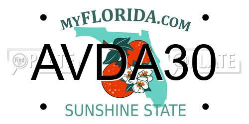 AVDA30 Florida License Plate