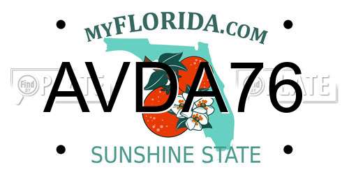 AVDA76 Florida License Plate