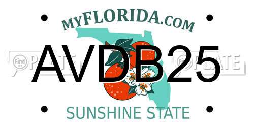 AVDB25 Florida License Plate