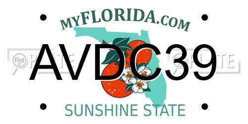 AVDC39 Florida License Plate