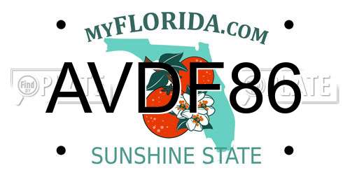 AVDF86 Florida License Plate