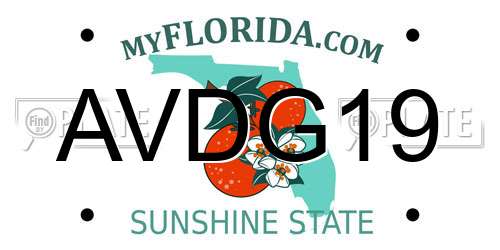 AVDG19 Florida License Plate