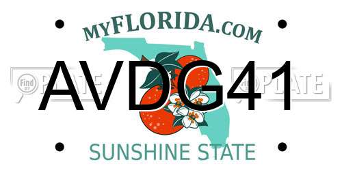 AVDG41 Florida License Plate