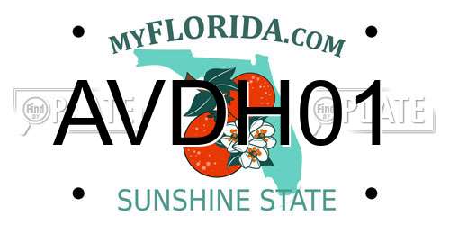 AVDH01 Florida License Plate