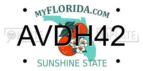 AVDH42 Florida License Plate