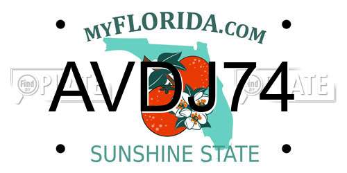 AVDJ74 Florida License Plate