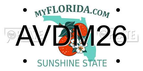 AVDM26 Florida License Plate