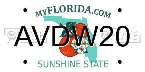 AVDW20 Florida License Plate