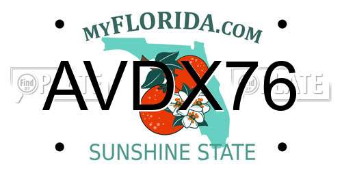 AVDX76 Florida License Plate