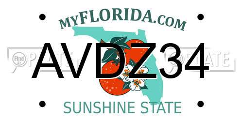 AVDZ34 Florida License Plate