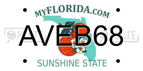 AVEB68 Florida License Plate