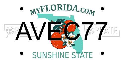 AVEC77 Florida License Plate