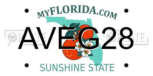 AVEG28 Florida License Plate