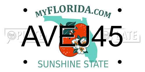 AVEJ45 Florida License Plate