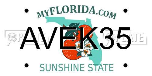 AVEK35 Florida License Plate