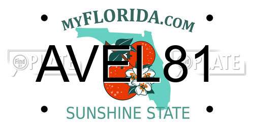 AVEL81 Florida License Plate