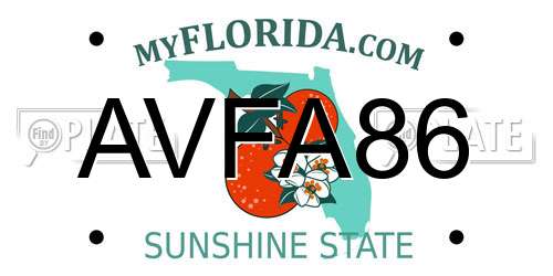 AVFA86 Florida License Plate