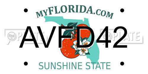 AVFD42 Florida License Plate