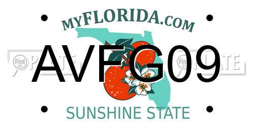 AVFG09 Florida License Plate