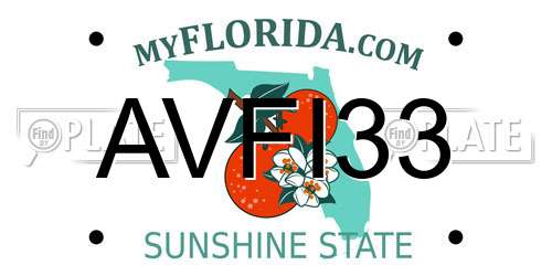 AVFI33 Florida License Plate