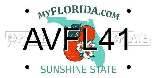 AVFL41 Florida License Plate