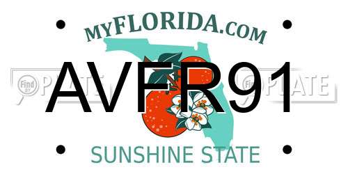 AVFR91 Florida License Plate