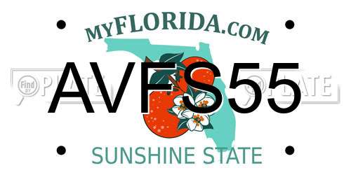 AVFS55 Florida License Plate
