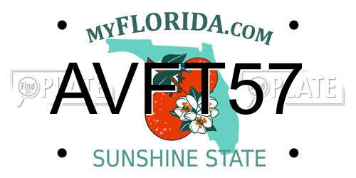 AVFT57 Florida License Plate