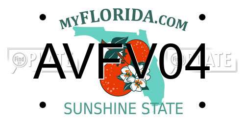 AVFV04 Florida License Plate