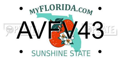AVFV43 Florida License Plate