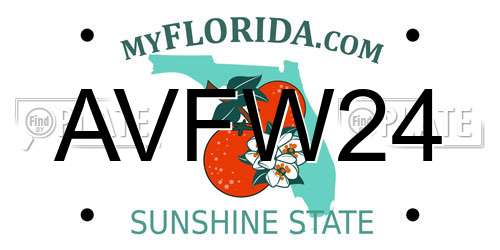 AVFW24 Florida License Plate