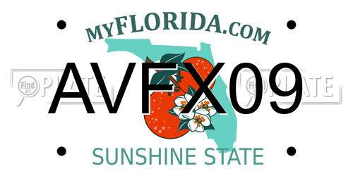 AVFX09 Florida License Plate
