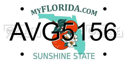 AVG5156 Florida License Plate