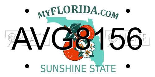 AVG8156 Florida License Plate