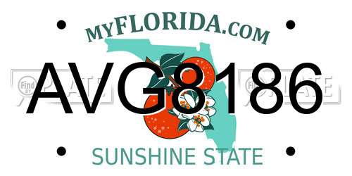 AVG8186 Florida License Plate