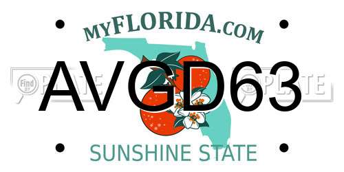 AVGD63 Florida License Plate