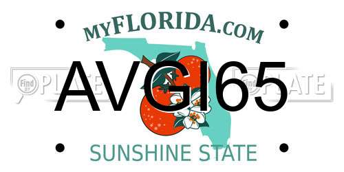 AVGI65 Florida License Plate