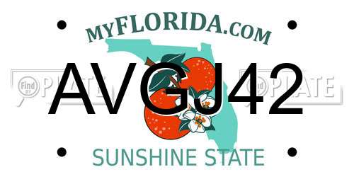 AVGJ42 Florida License Plate