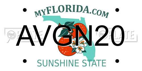 AVGN20 Florida License Plate