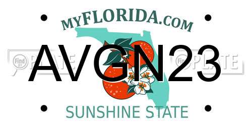 AVGN23 Florida License Plate
