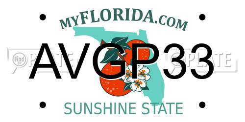 AVGP33 Florida License Plate