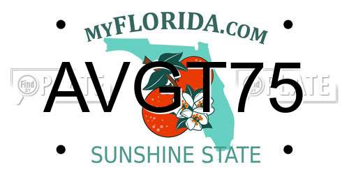 AVGT75 Florida License Plate