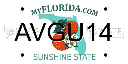 AVGU14 Florida License Plate