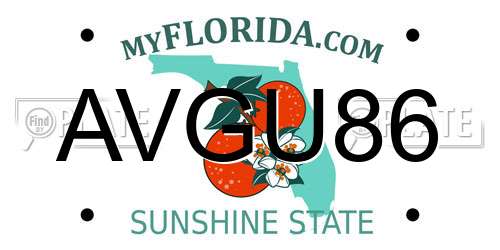 AVGU86 Florida License Plate