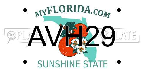AVH29 Florida License Plate