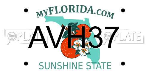 AVH37 Florida License Plate